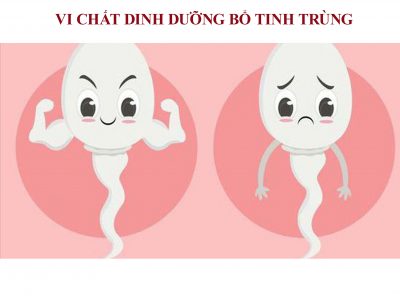 bo-tinh-trung